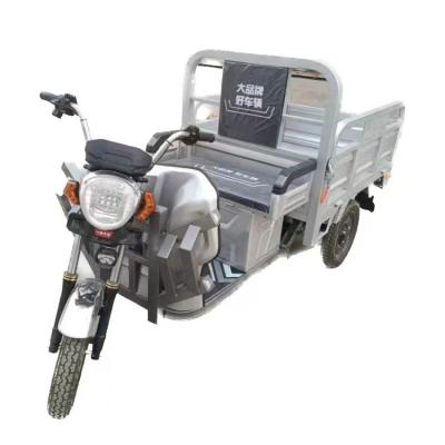 China New Arrival High Quality Cargo 3 Wheel Bicycle Electric Bike Motorcycle Tricycle for sale