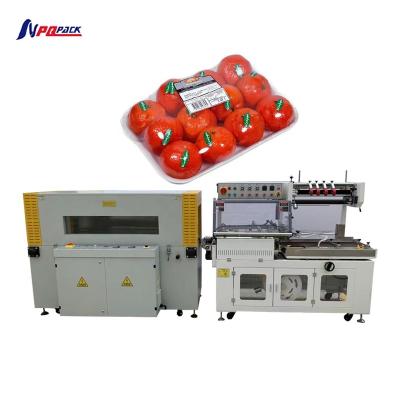 China Food tray shrink wrap packing machine shrink wrapping machine packaged automatic shrink wrapping machine for sale