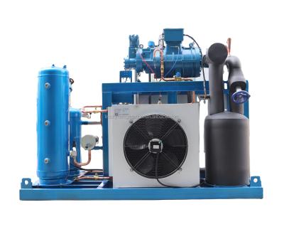 China Cold Room Fruit Storage Fusheng Compressor SDL-450B Cold Room Compressor Unit for sale