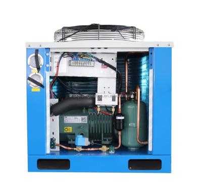 China Condensing Cold Room Fruit Storage 5hp Cold Room Unit Bitzer Condensing Unit for sale