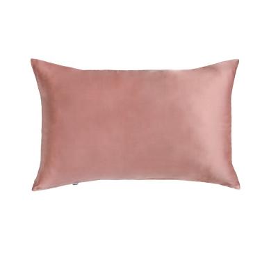 China Natual Color Mulberry Silk Pillowcase 16MM Anti-static High Quality Solid Silk Pillowcase Silver For Sleep for sale