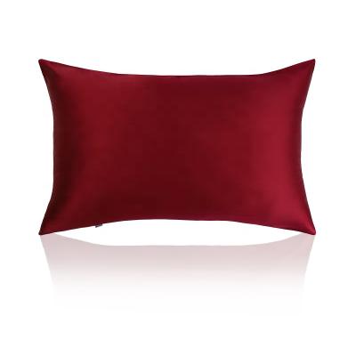 China Double Side Slip 16mm Pure Silk Mulberry Anti-Static 100% Silk Pillow Case Pillowcase With Zipper for sale