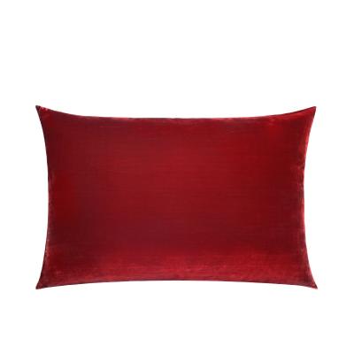 China Anti-static the hot new revolution non-toxic 100% natural silk pillowcase for sale