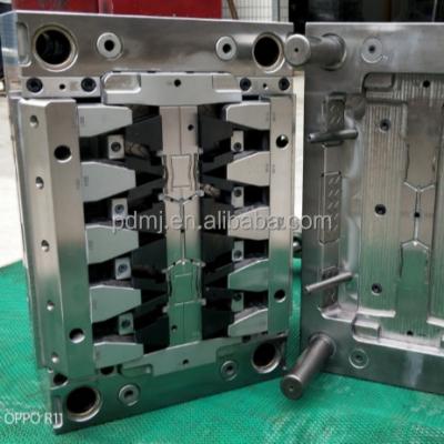 China Household Product Bio Plastic Mold Moldings Mold Makers For Injection Molding Plastic Injection Molding Biodegradable Plastic Mold for sale