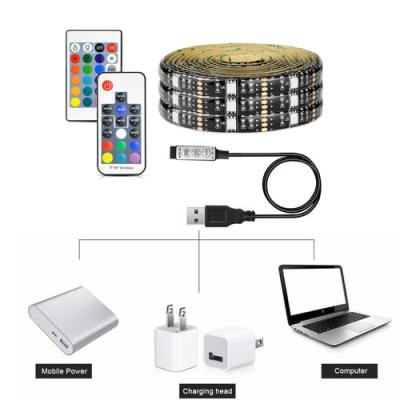 China LANDSCAPE 5V USB TV Back Light 2M PC 78 Inch 6.5 Feet 5050 LED Strips RGB Remote Light Strip Set LED Strip Kit for sale