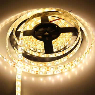 China Garden DC12V/24V 3528 5050 2835 30LED 60LED RGB Christmas Decoration LED String Warm White Cool White Strip Light for sale