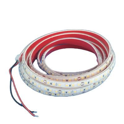 China Garden IP68 Waterproof DC24V 3528 5050 2835 120LED Warm White Cold White Christmas Decoration LED String Strip Light for sale