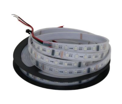 China Accessible LANDSCAPE TM512 5050RGB Dreamy Color 24V Full Color Digital LED Strip Flexible Led Strip Light for sale