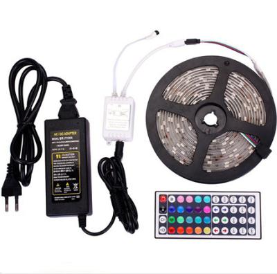 China LANDSCAPE DC12V 2835 LED Strips RGB Remote Lights 5 Meters 300LED With 44 Key Controller Remote Adapter for sale