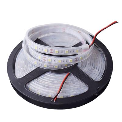 China Waterproof DC 12V IP65 IP67 SMD 5050 60led/m Color 300led RGB Single Color 300led RGB LED Waterproof White Cold White Flexible Strip for Garden for sale