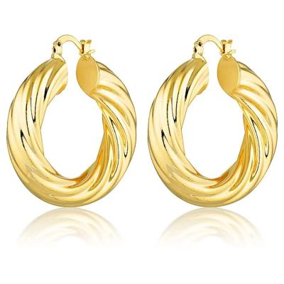 China TRENDARY Fashion Hypoallergenic18k Custom Gold Plated Hoop Earrings Stainless Steel Jewelry Gold Twisted Hoop Earrings for sale