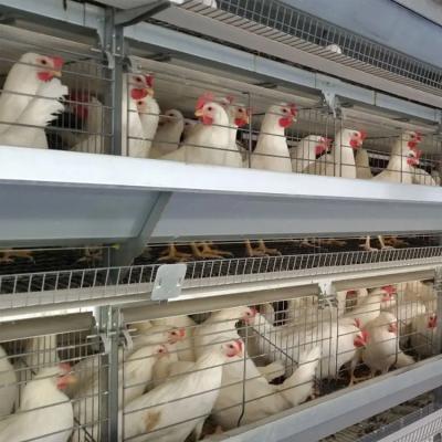 China Automatic Farms Battery Egg Chicken Cage Galvanized Automatic Egg Layer Chicken House for sale