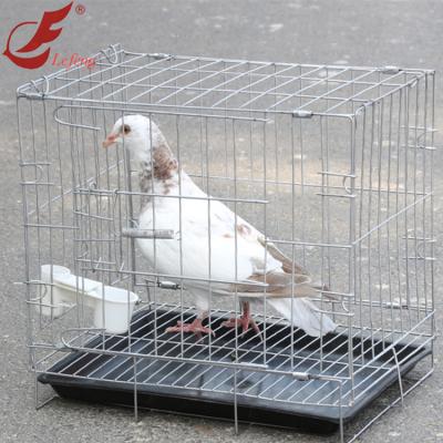 China Breathable Hot Sale Pigeon House Partition Panel Pigeon Cage for sale