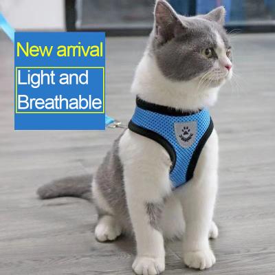 China 2022 Viable New Arrival Luxury Dog Backpack Harness Vest Set Cat Paracord Dog Leash Hook Rope Collars And Leashes for sale