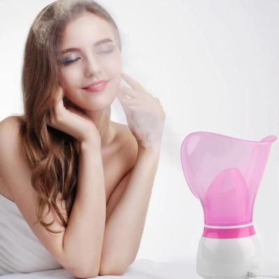 China AOOTOY Beauty DEEP CLEANSING Equipment for Moisturizing Electric Salon Mini Vaporizer OEM Multifunctional Professional Portable Facial Steamer for sale