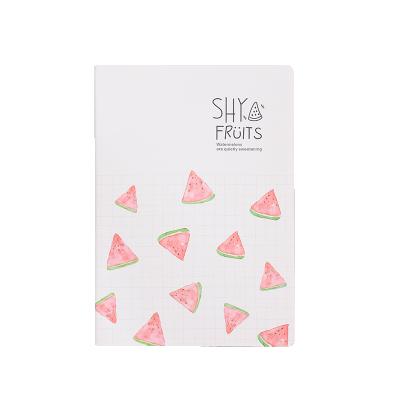 China Soft line creative simple clean cover B5 fruit elegance hardcover book car notebook for sale