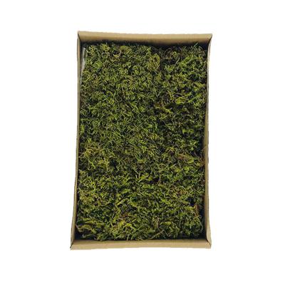 China Preserved Flat Moss Preserved Flat Moss Indoor Outdoor Natural Moss Christmas Wall Decoration Top Quality Dried Flowers Plants for sale