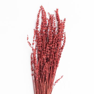 China Real Touch Nature Top Quality Dried Flowers Bulk Flower String Decoration Dried Lavender for sale