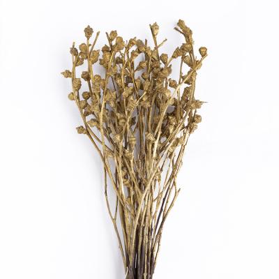 China Cheap Hot Sale Real Touch Nature Flowers House Decor Dried Pressed Flowers Dried Stem Eucalyptus Fruit for sale