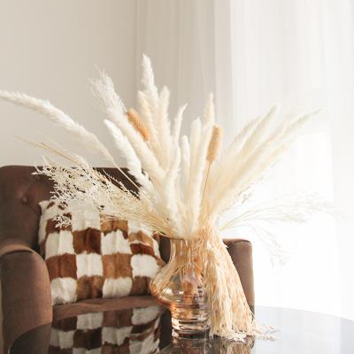 China Classic Decorative Flowers Dried Flower Bouquet Bridal Bouquet Dried Pampas Grass For Home Decor for sale