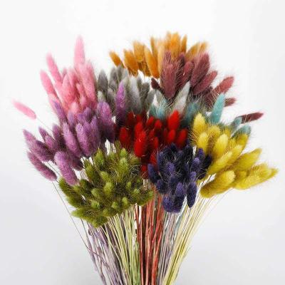 China Real factories wholesale dry flowers 60pcs Dried Bunny Tails Grass Lagurus Colorful Bunny Tails Dried for sale