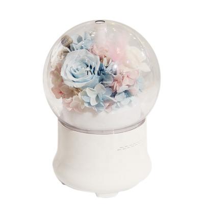 China Real Touch Nature's Bestsellers 2020/2021 Sustainable Amazon Gift Preserved Flower Humidifier for sale