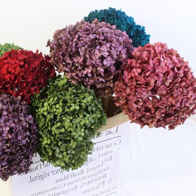 China Wholesale Dried Real Nature Flower Royal Blue 100% Dried Flowers Hydrangea Preserved Purple Hydrangeas for sale