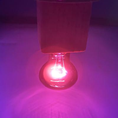 China Reptile Moonlight Lamp Black Pet Bulb R63 Bulb R63 Brass Hot Purple R63 Sterilization Lamp for sale