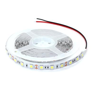 China Indoor and outdoor decoration China manufacturer 5050smd led strip lights 8W led strip lights for home lighting for sale