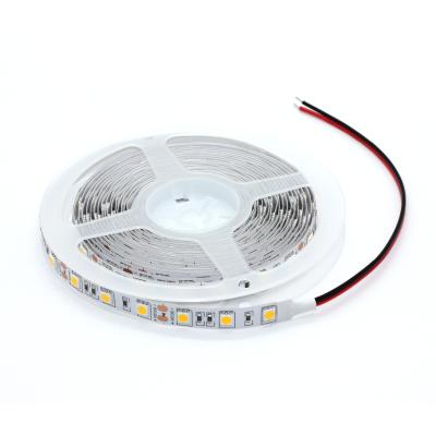 China DC 2800k-3200k 12V 60leds/m indoor and outdoor decoration good reputation adjustable warm white led strip light for sale