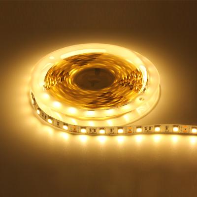 China China's most popular indoor and outdoor decoration China's most popular 5050 quality smart led strip lights warm white led light strip for sale