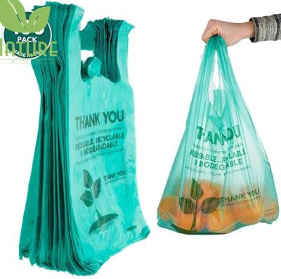 China Custom made 100% biodegradable BIODEGRADABLE plastic bags shopping bag luxury shopping bags for sale