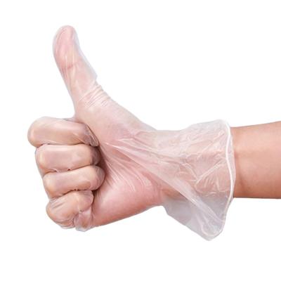 China Best Customized Product 100% Biodegradable Compostable Plastic Disposable Food Prep Gloves For Household for sale