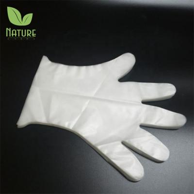 China High Quality 100% Biodegradable Cornstarch Household Cleaning Plastic Disposable Gloves for sale