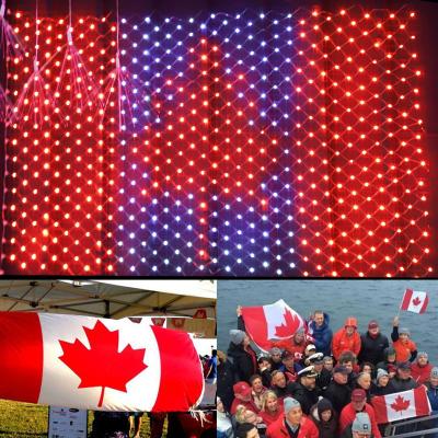 China LED Hot Selling 390 LED Flag Mesh Net Fairy American Canadian Lights For Independence Day Customized Country Flag for sale