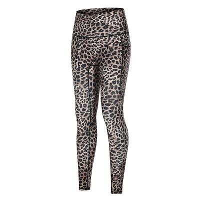 China High Quality Custom Style Butt Leopard Gaiters Breathable Hot Selling Yoga Lifting Pants for sale