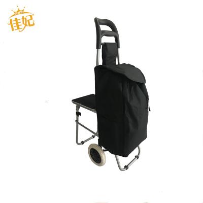 China 2022 New Design Folding Product Stainless Steel Shopping Trolley Coin Lock , Shopping Cart for sale