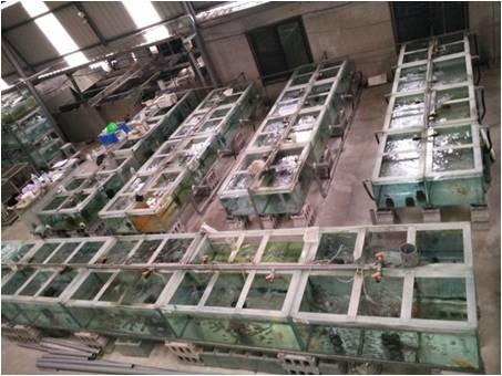 Verified China supplier - LONG LIFE PET FISH CO., LTD.