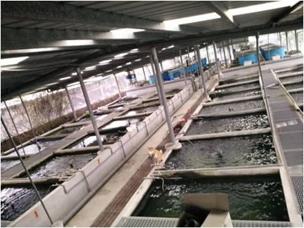 Verified China supplier - LONG LIFE PET FISH CO., LTD.