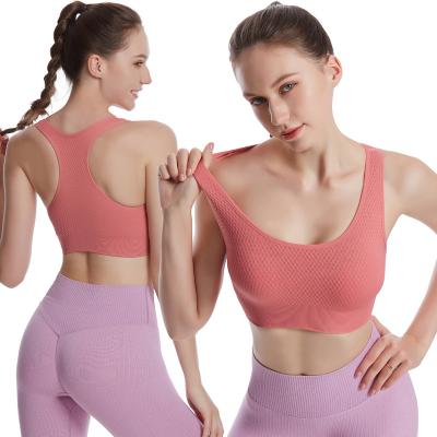 China Selling Sports Wear Sports Fitness Bra Breathable Warm Seamless Top Gym Active Yoga Vest Sports Tops With Padds OEM ODM Custom Sportswear bra for sale