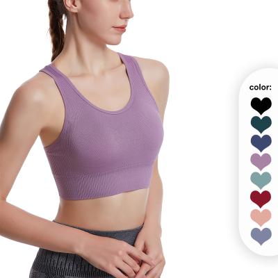 China Breathable Women Sports Bra Seamless Fitness Bra Top Gym Active Wear Yoga Vest Sports Tops Custom Fitness Sportswear for sale