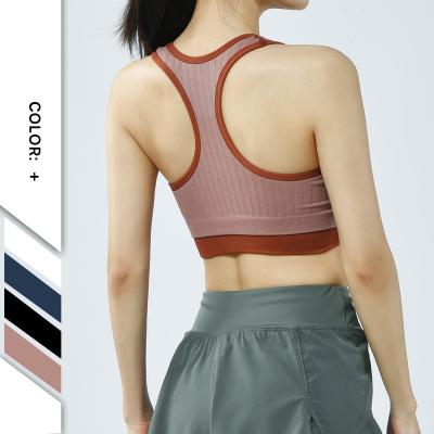 China Breathable Women Color Sports Bra Seamless Top Gym Wear Yoga Vest High Impact Yoga Vest Active Sports Both Tops Custom Fitness Sportswear for sale