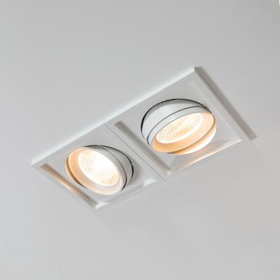 China 2*30W Modern 2 Square Commercial Downlight for sale