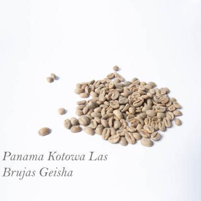 China Panama Kotowa Las Brujas Geisha Green Coffee Beans Wholesale Concession For Sale N/A for sale