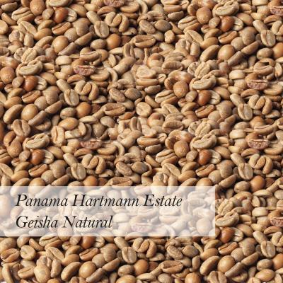 China Panama Hartmann Estate Geisha Natural Wholesale Specialty Green Coffee Beans Raw Coffee Beans NOT DETERMINED for sale