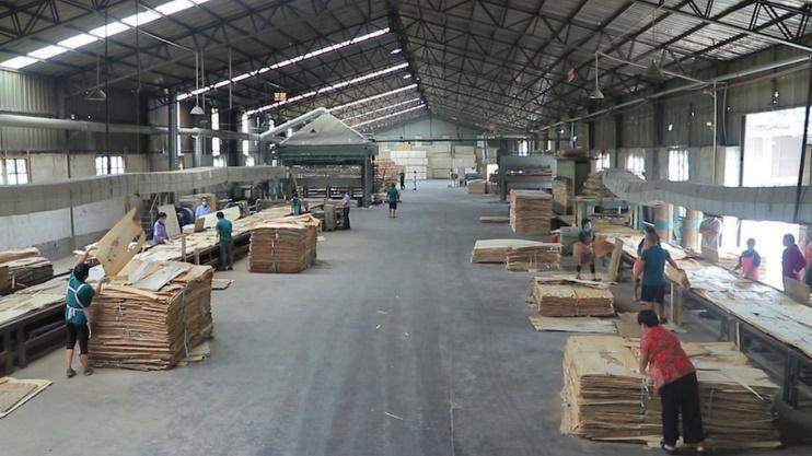 Verified China supplier - Linyi Mingsen Wood Co., Ltd.