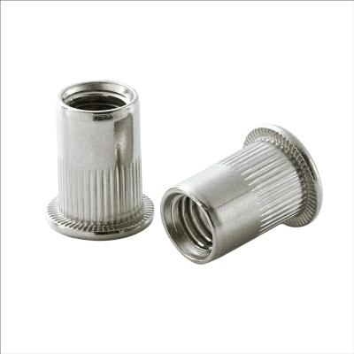 China Heavy Industry China Factory Vertical Fastener Rivet Nut Flat Head Pattern Carbon Steel Electro Galvanizing for sale