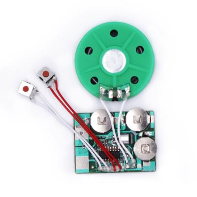 China Customized Greeting Card Size USB Sound Voice Recording Module For Kid Toy for sale