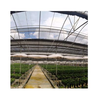 China Vegetable UV Protection Greenhouse Flowers Fruits Clear Plastic Film for sale