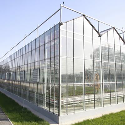 China Vegetable Fruits Flowers Planting High Quality Venlo Glass Agricultural Greenhouse Large for sale